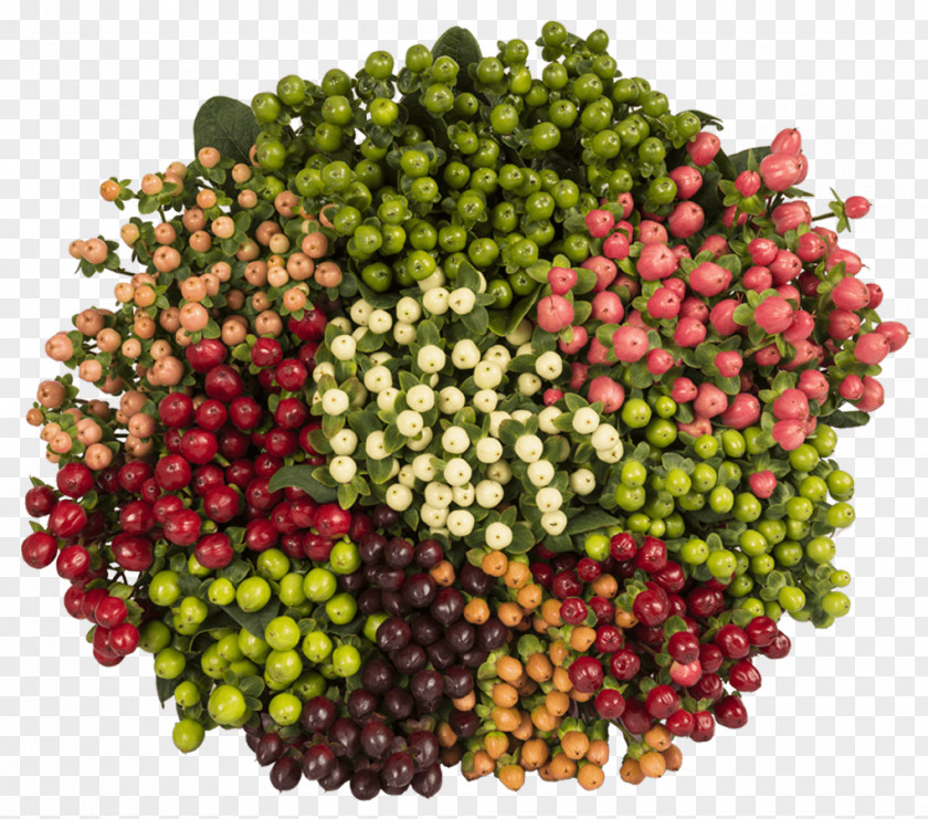 Berry Food Vegetarian Cuisine Grape Perforate St John's-wort PNG