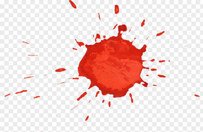 Blood Donation Red PNG