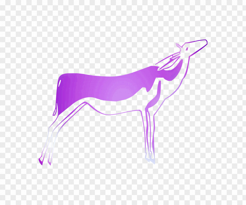 Canidae Dog Unicorn Illustration Graphics PNG
