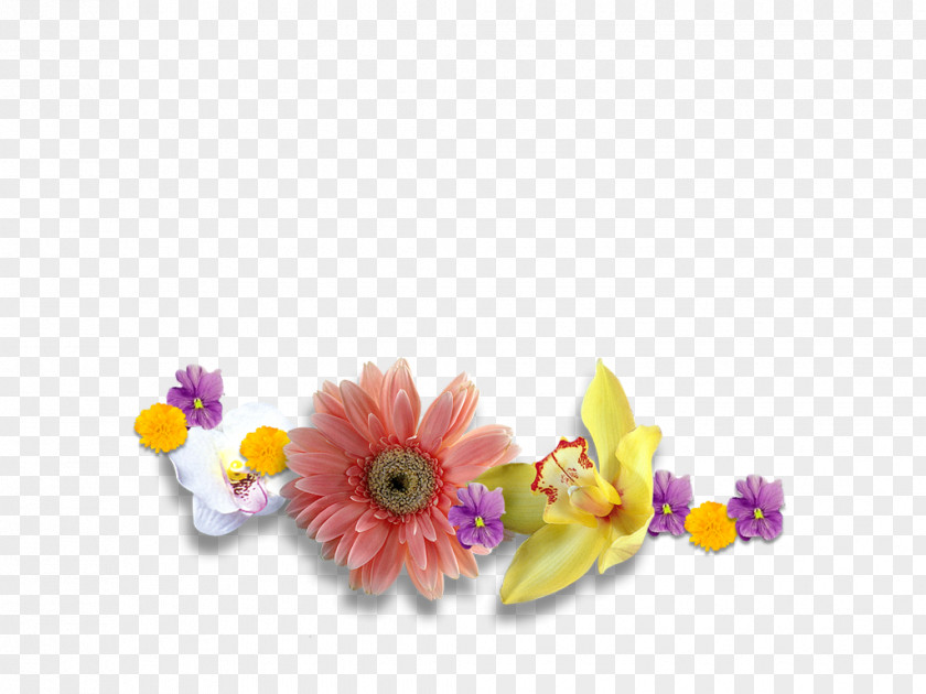 Flower Floral Design Cut Flowers Petal PNG