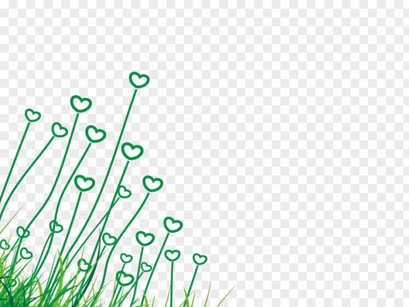 Grass Green Download PNG