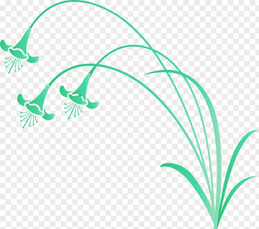 Green Leaf Line Grass Plant PNG