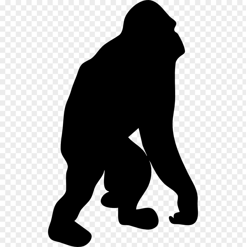Monkey Ape Drawing Clip Art PNG