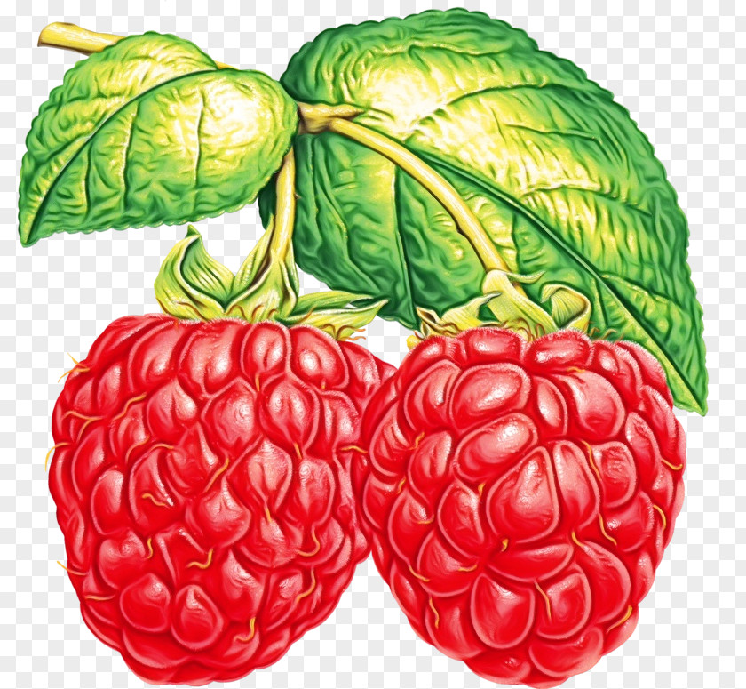 Raspberry Red Blackberries Berry Blue Flavor PNG
