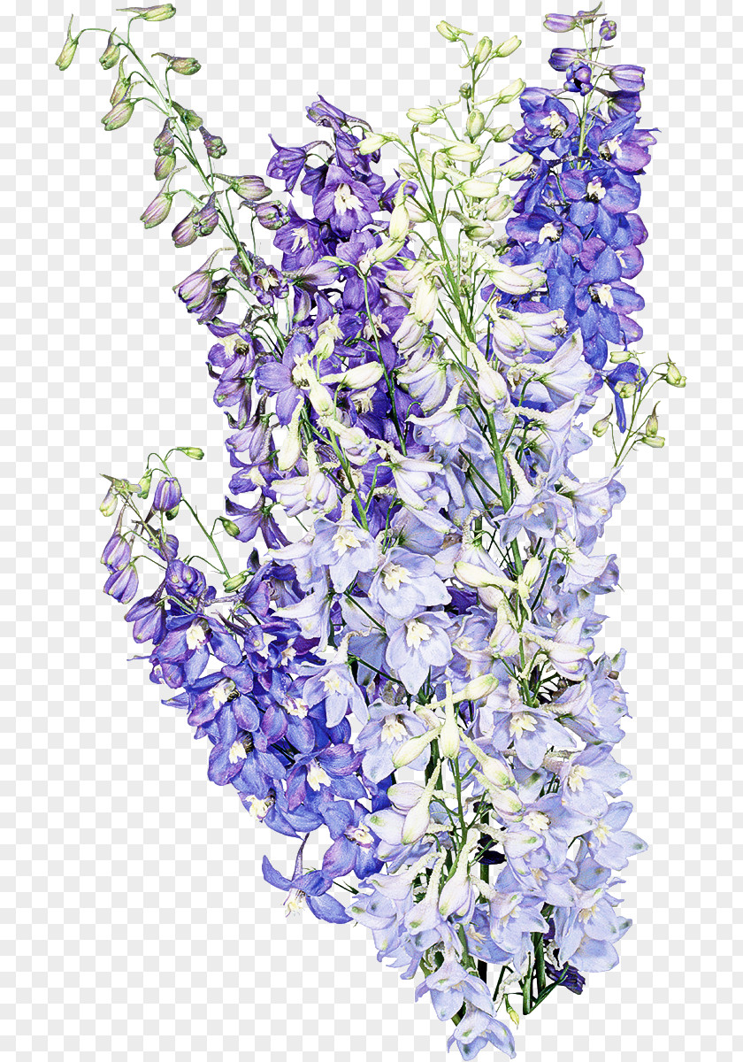 Artificial Flower PNG