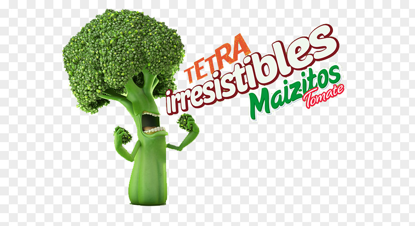 Broccoli Vegetable Graphic Design PNG