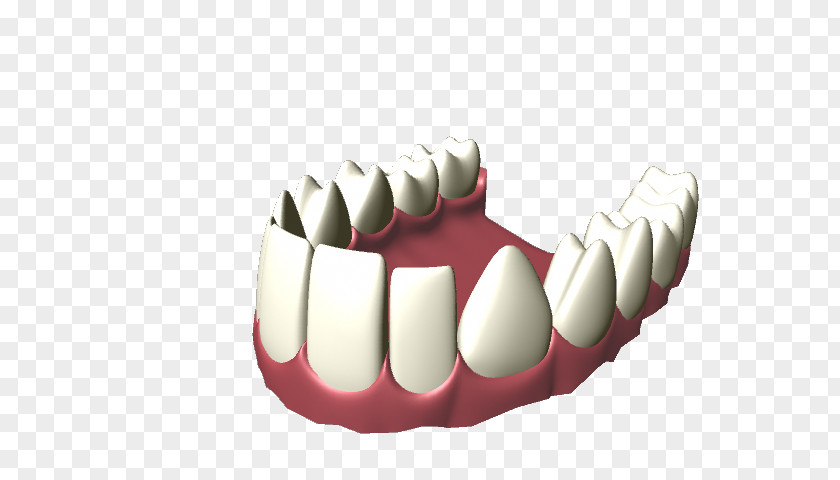 Human Tooth Clip Art PNG