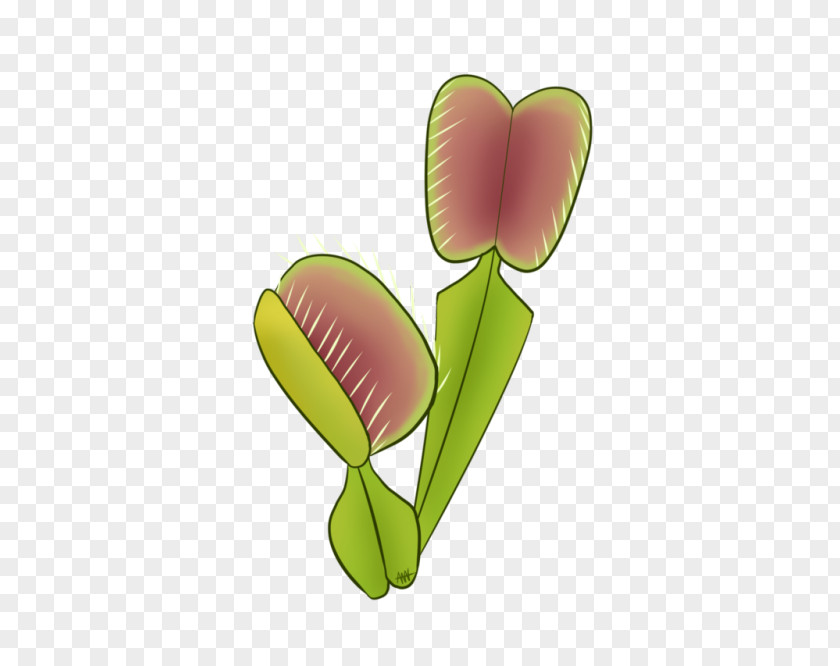 Leaf Petal Plant Stem Clip Art PNG