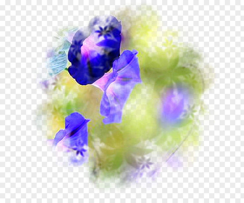 Painting Watercolor Flower PNG