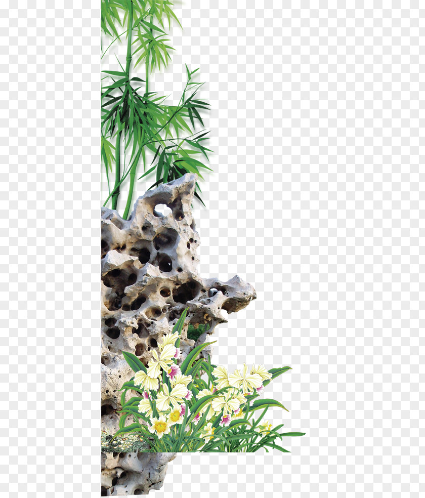 Bamboo Poster Landscape Painting Drawing PNG