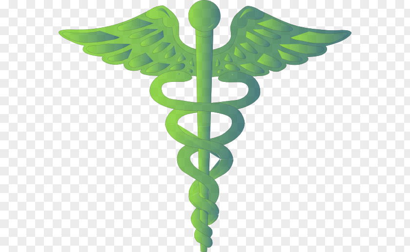 Doctor Logo Staff Of Hermes Medicine Physician Symbol PNG