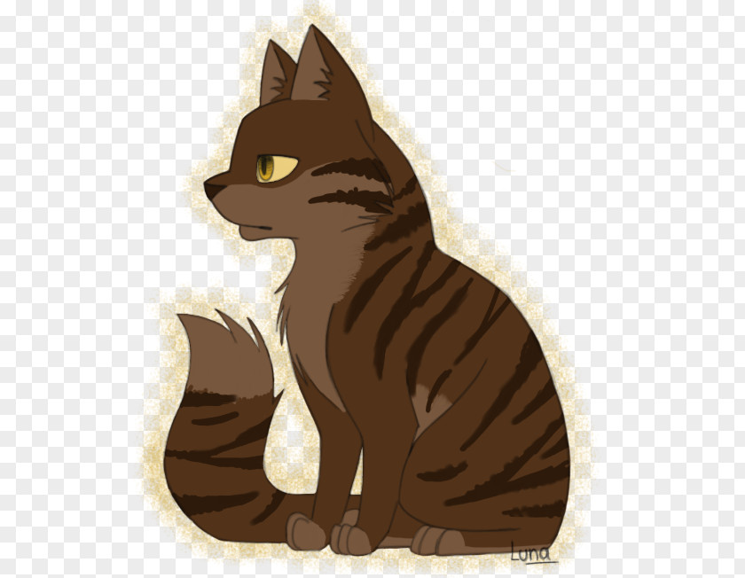 Kitten Whiskers Domestic Short-haired Cat Tabby PNG