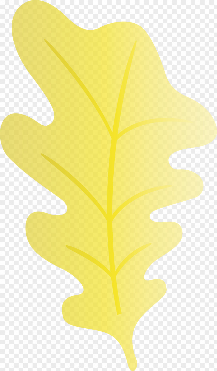 Leaf Tree Yellow Meter Line PNG