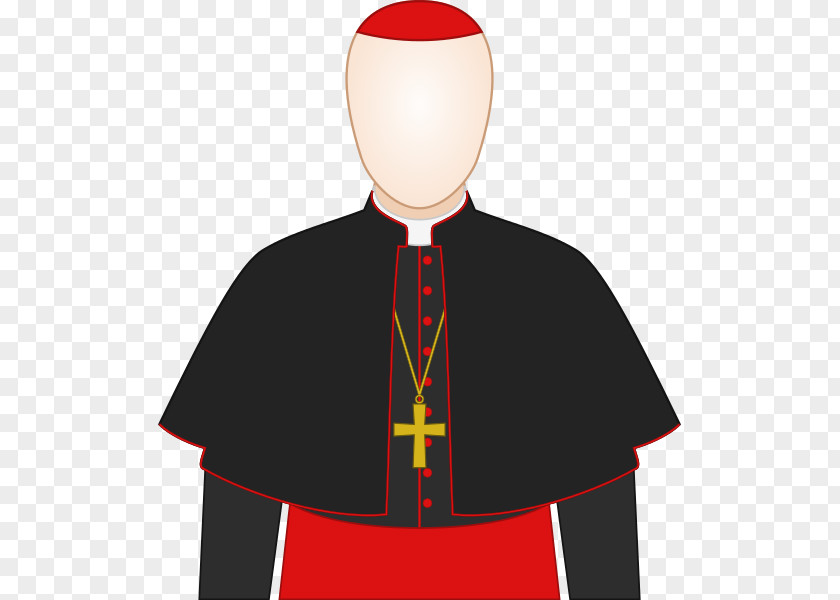 Pellegrina Bishop Priest Cassock Clerical Clothing PNG