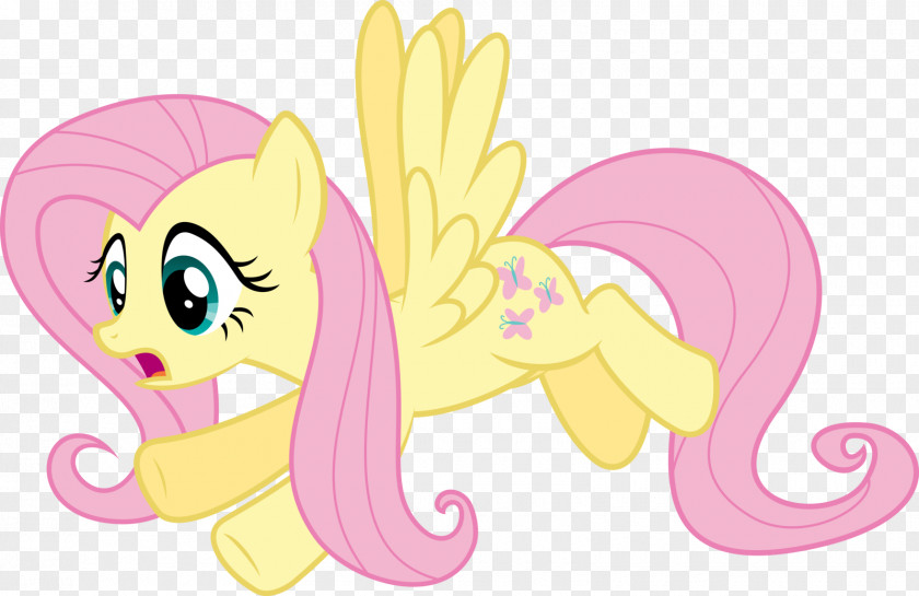Pony Fluttershy Twilight Sparkle Rainbow Dash Sweetie Belle PNG