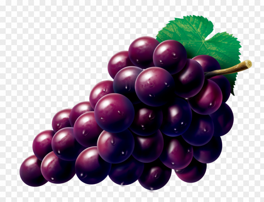 Vector Grapes Grape Zante Currant Seedless Fruit PNG