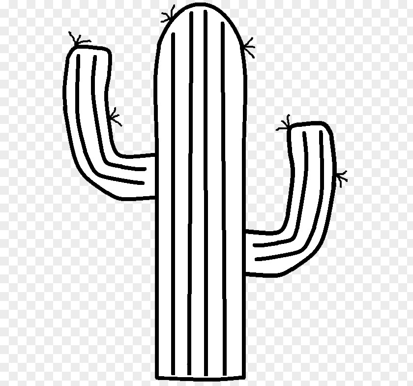Western Cactaceae Drawing Clip Art PNG