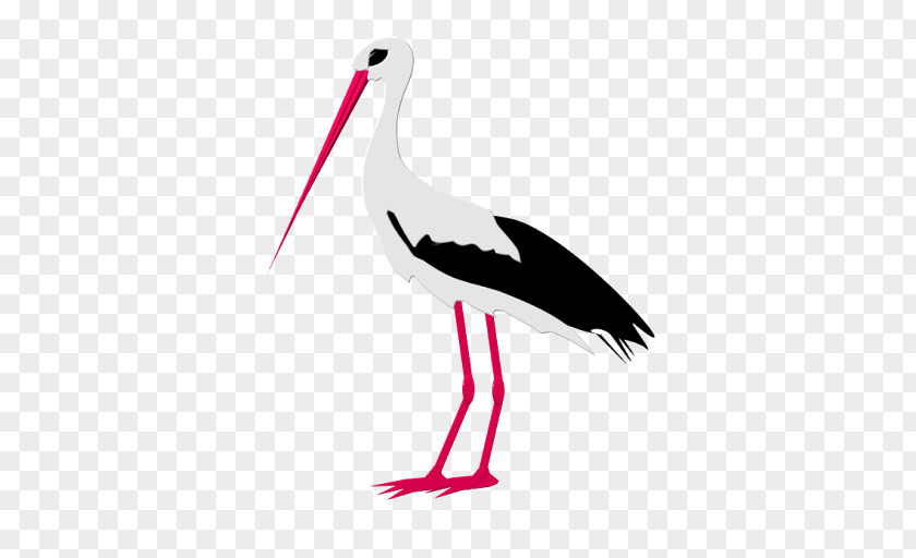 White Stork Clip Art Bird Beak Vector Graphics PNG