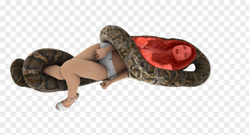 Boa Constrictor Shoe PNG