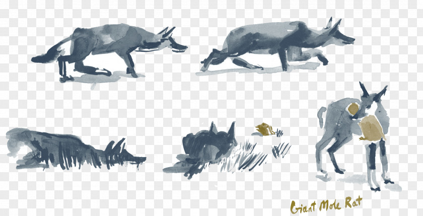 Gelada Baboon Cattle Pack Animal Dog Sketch PNG