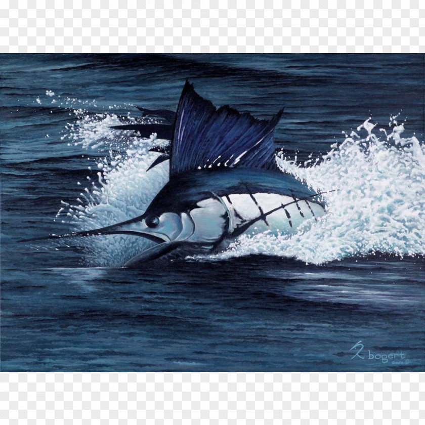 Painting Swordfish Richard Bogert LLC Sailfish White Marlin PNG