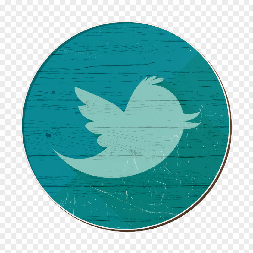 Social Media Icon Twitter PNG