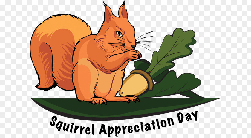 Squirrel Chipmunk Whiskers Clip Art PNG