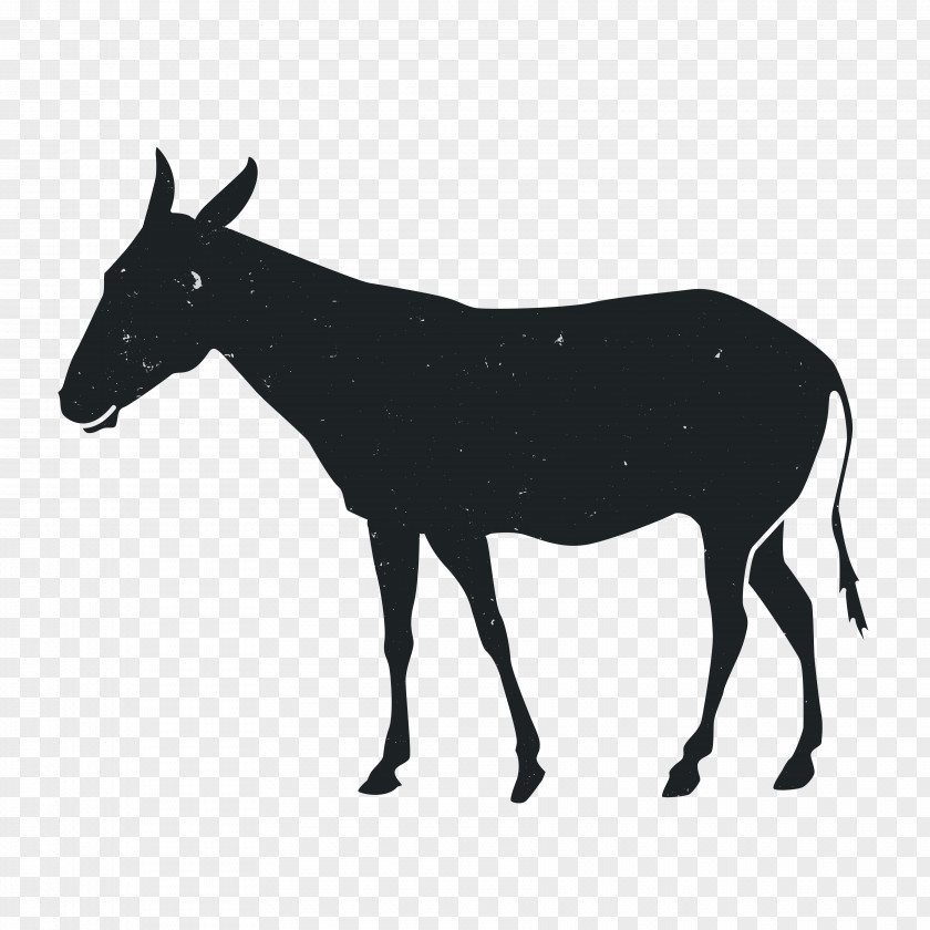 Animal Silhouettes Mustang American Paint Horse Stallion Silhouette PNG