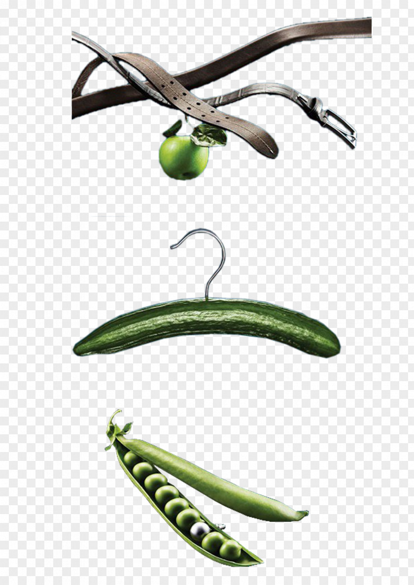 Belt Cucumber Green Beans Clothes Hanger Designer PNG