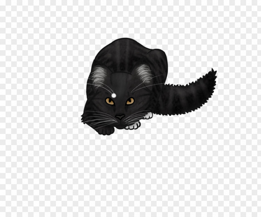 Cat Whiskers Domestic Short-haired Snout Black M PNG