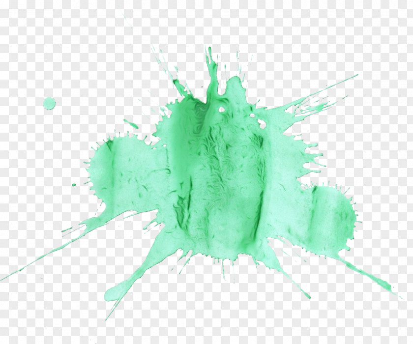 Logo Feather Green Leaf Watercolor PNG