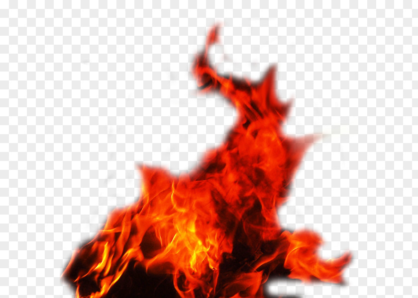 Real Fire Image Flame PNG