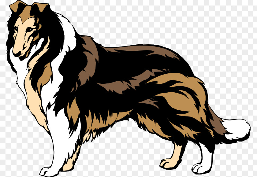 Shepherd And Sheep Rough Collie Border Smooth Bearded Clip Art PNG