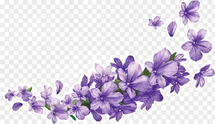 Shree Gulabsons & Co. Lavender Information PNG