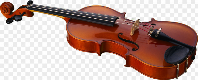 Violin Family PNG