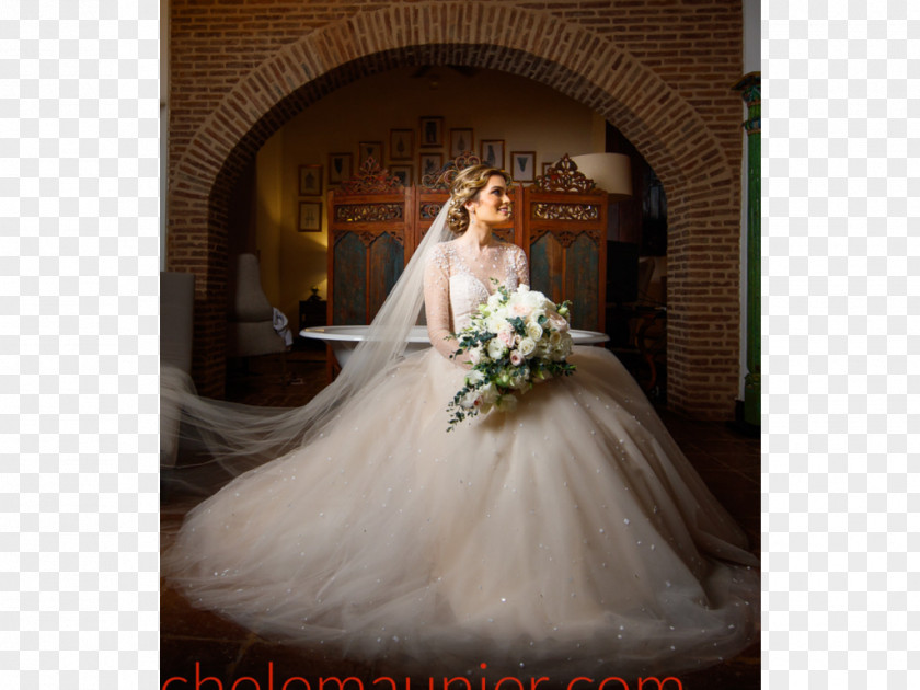 Wedding Dress Marriage Bride Gown PNG