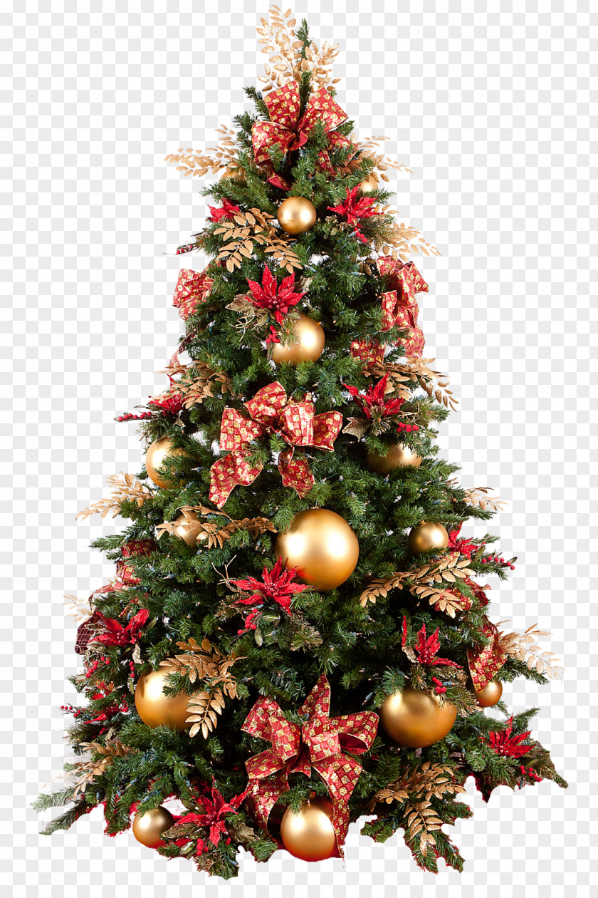 Arbol Christmas Tree Ornament PNG