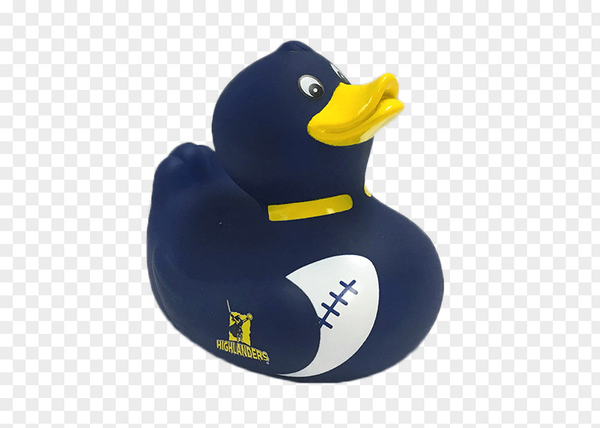 Bath Duck UC Riverside Highlanders Women's Basketball Chiefs Crusaders New Zealand National Rugby Union Team PNG