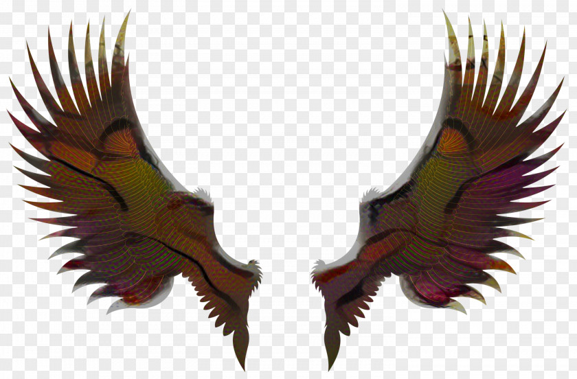 Beak Bird Eagle Logo PNG