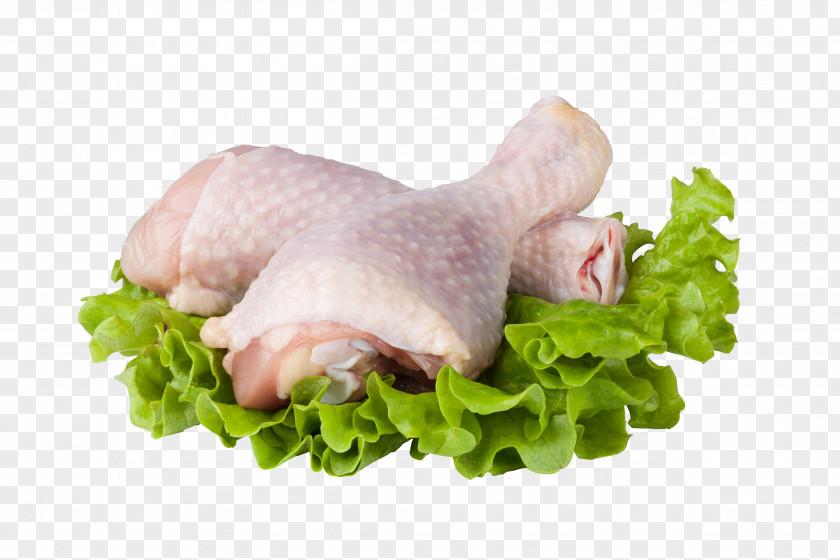 Chicken Meat Turkey White Broiler PNG