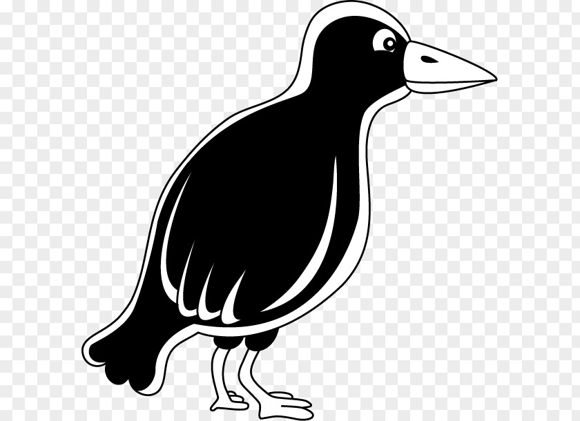 Clip Art Duck Illustration Crow Silhouette PNG