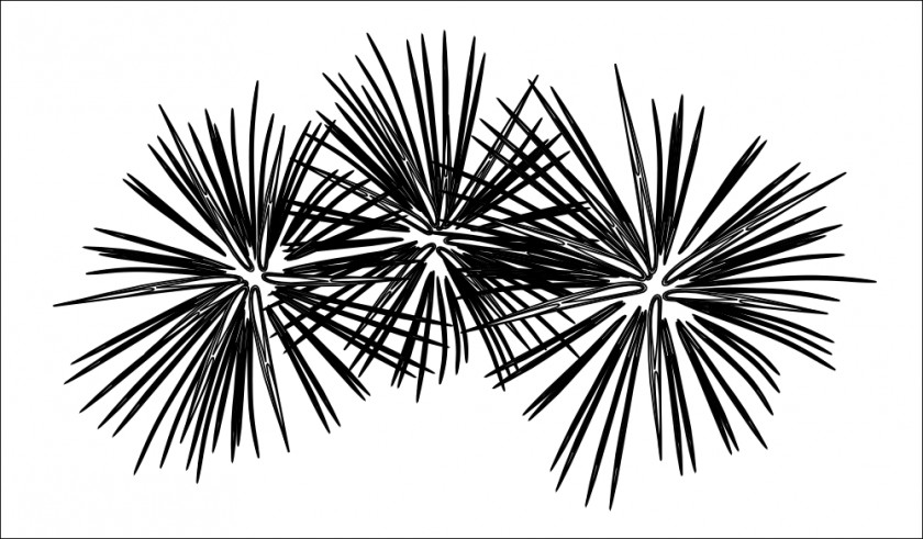 Fireworks Cliparts Black And White Clip Art PNG