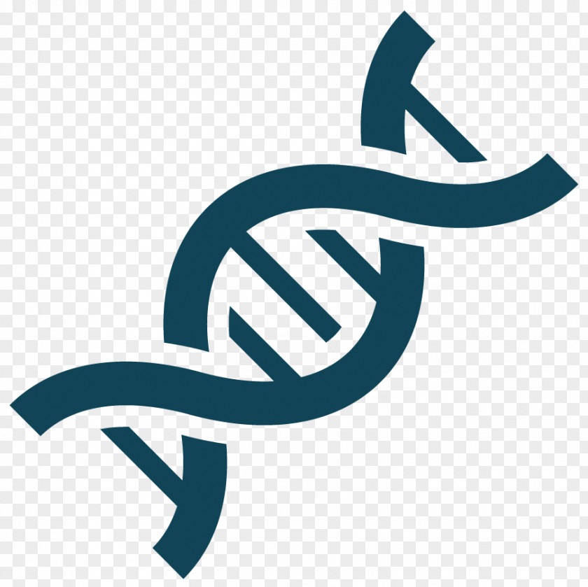 Dna KCNK9 Birk-Barel Syndrome Genetics DNA PNG