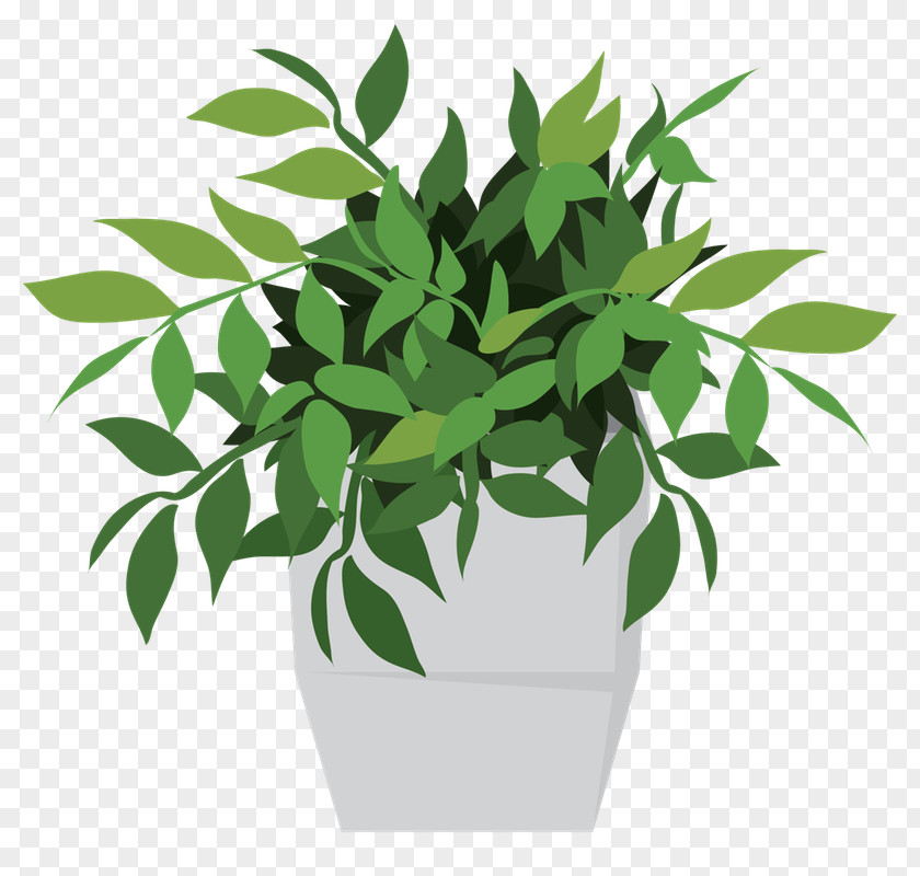 Plant Flowerpot Houseplant Potting Soil Chlorophyll PNG