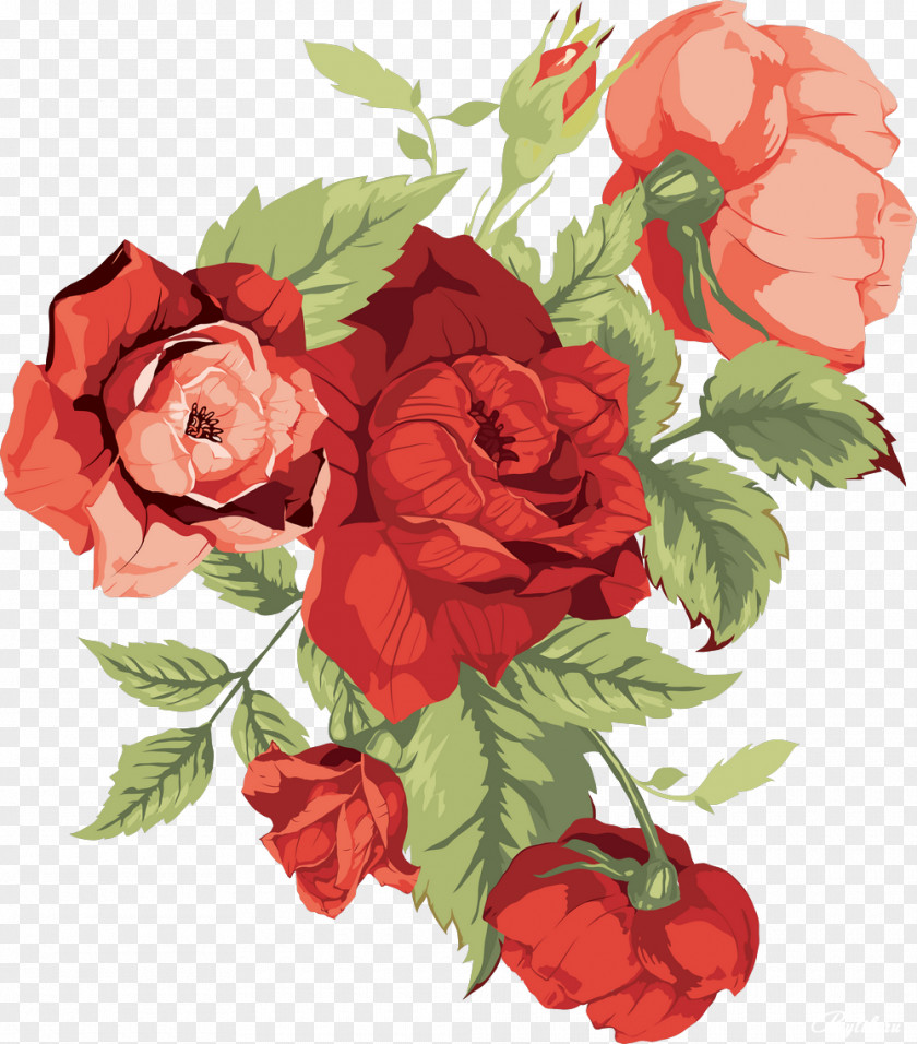 Ucket Flower Drawing PNG