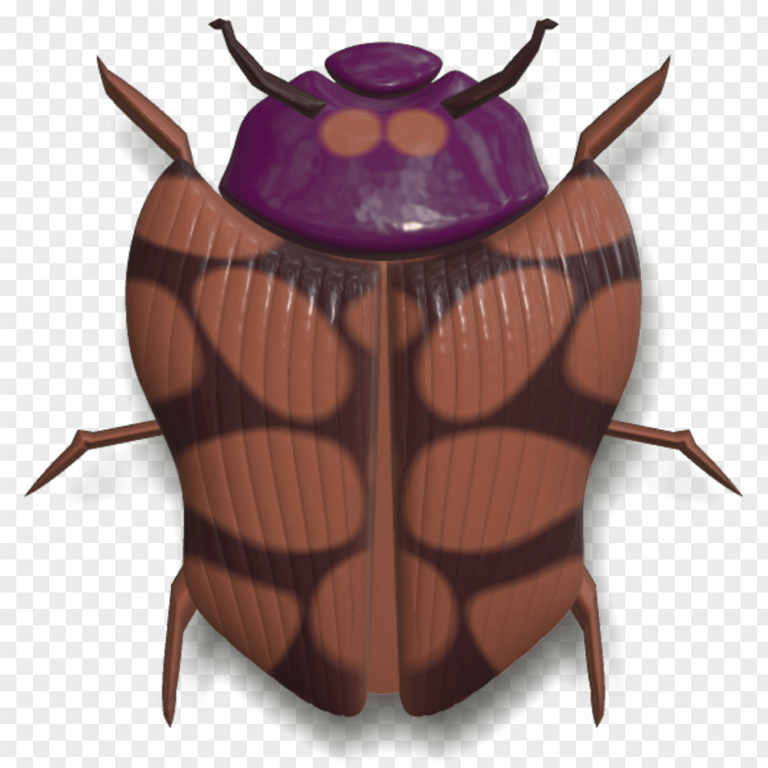 Beetle Brown Butterfly PNG