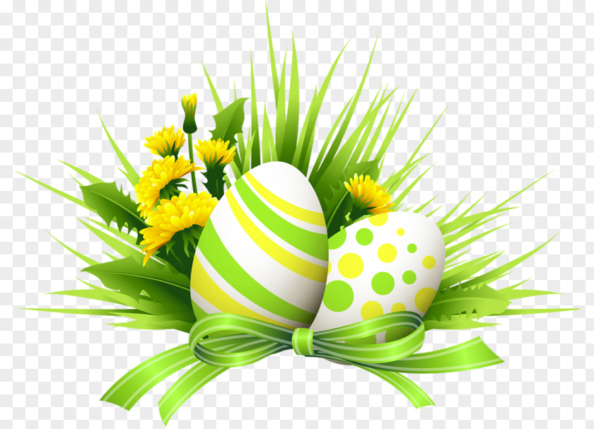 Flower Floral Design Wildflower Easter Egg PNG