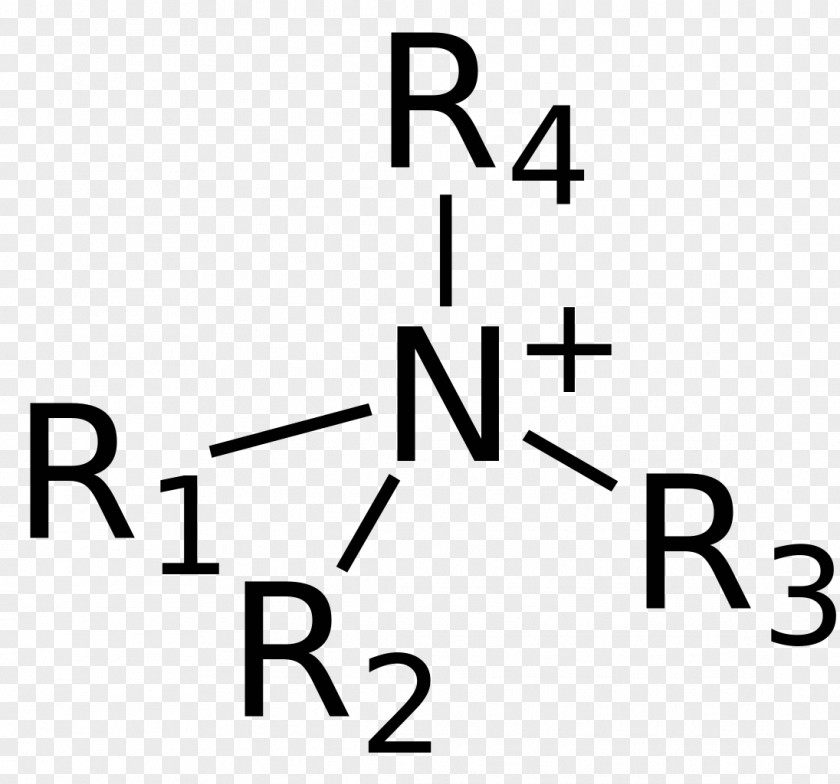 Functional Group Chemistry Quaternary Ammonium Cation Ethyl Butyrate PNG