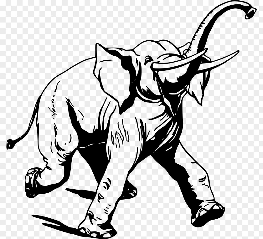 大象 Pack Animal Elephantidae Drawing Clip Art PNG