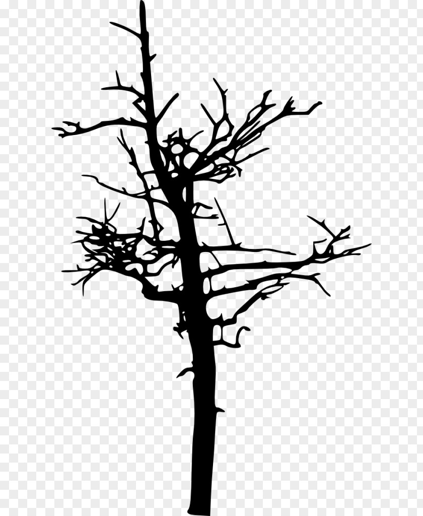 Silhouette Twig Clip Art PNG
